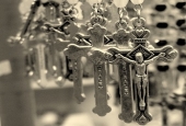 IIP Online Student Photography
