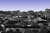 IIP Online Student Photography