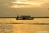 IIP Online Student Photography