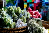 IIP Online Student Photography