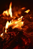 IIP Online Student Photography