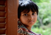 IIP Online Student Photography