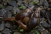 IIP Online Student Photography