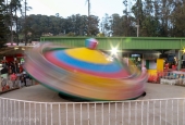 IIP Online Student Photography