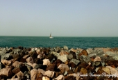 IIP Online Student Photography