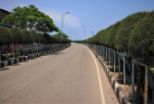 IIP Online Student Photography