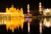 IIP Online Student Photography
