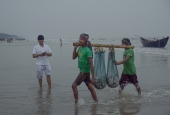 IIP Online Student Photography