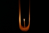 IIP Online Student Photography