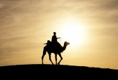 IIP Online Student Photography