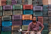 IIP Online Student Photography