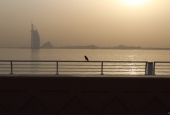 IIP Online Student Photography