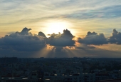 IIP Online Student Photography