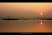 IIP Online Student Photography