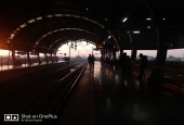 IIP Online Student Photography