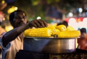 IIP Online Student Photography