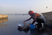 IIP Online Student Photography