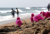 IIP Online Student Photography