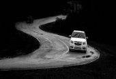 IIP Online Student Photography