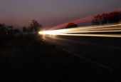 IIP Online Student Photography