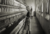 IIP Online Student Photography