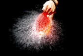 IIP Online Student Photography