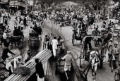 IIP Online Student Photography