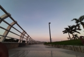IIP Online Student Photography