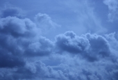 IIP Online Student Photography