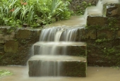 IIP Online Student Photography