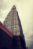 IIP Online Student Photography