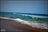 IIP Online Student Photography