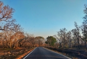 IIP Online Student Photography