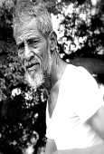 IIP Online Student Photography