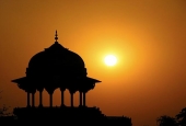 IIP Online Student Photography