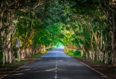 IIP Online Student Photography