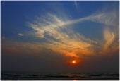 IIP Online Student Photography