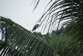 IIP Online Student Photography