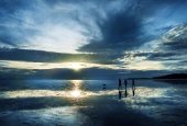 IIP Online Student Photography