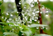 IIP Online Student Photography