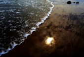 IIP Online Student Photography