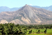 IIP Online Student Photography