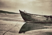 IIP Online Student Photography