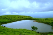 IIP Online Student Photography