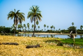 IIP Online Student Photography