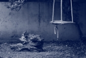 IIP Online Student Photography