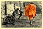 IIP Online Student Photography
