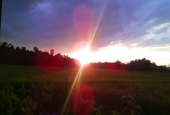 IIP Online Student Photography