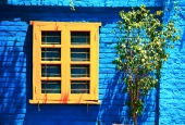 IIP Online Student Photography