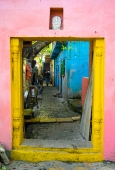 IIP Online Student Photography
